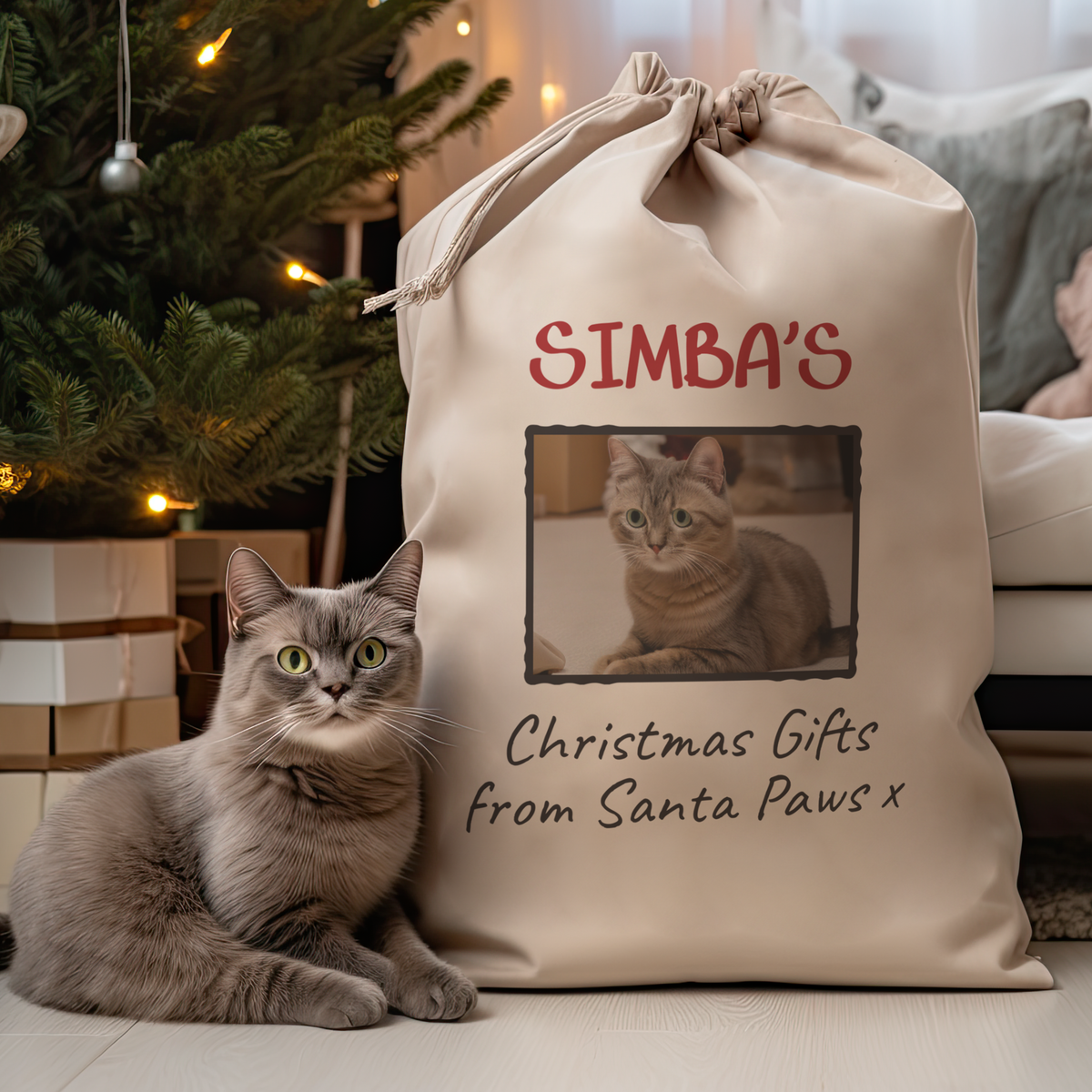 Cat Christmas Santa Sacks