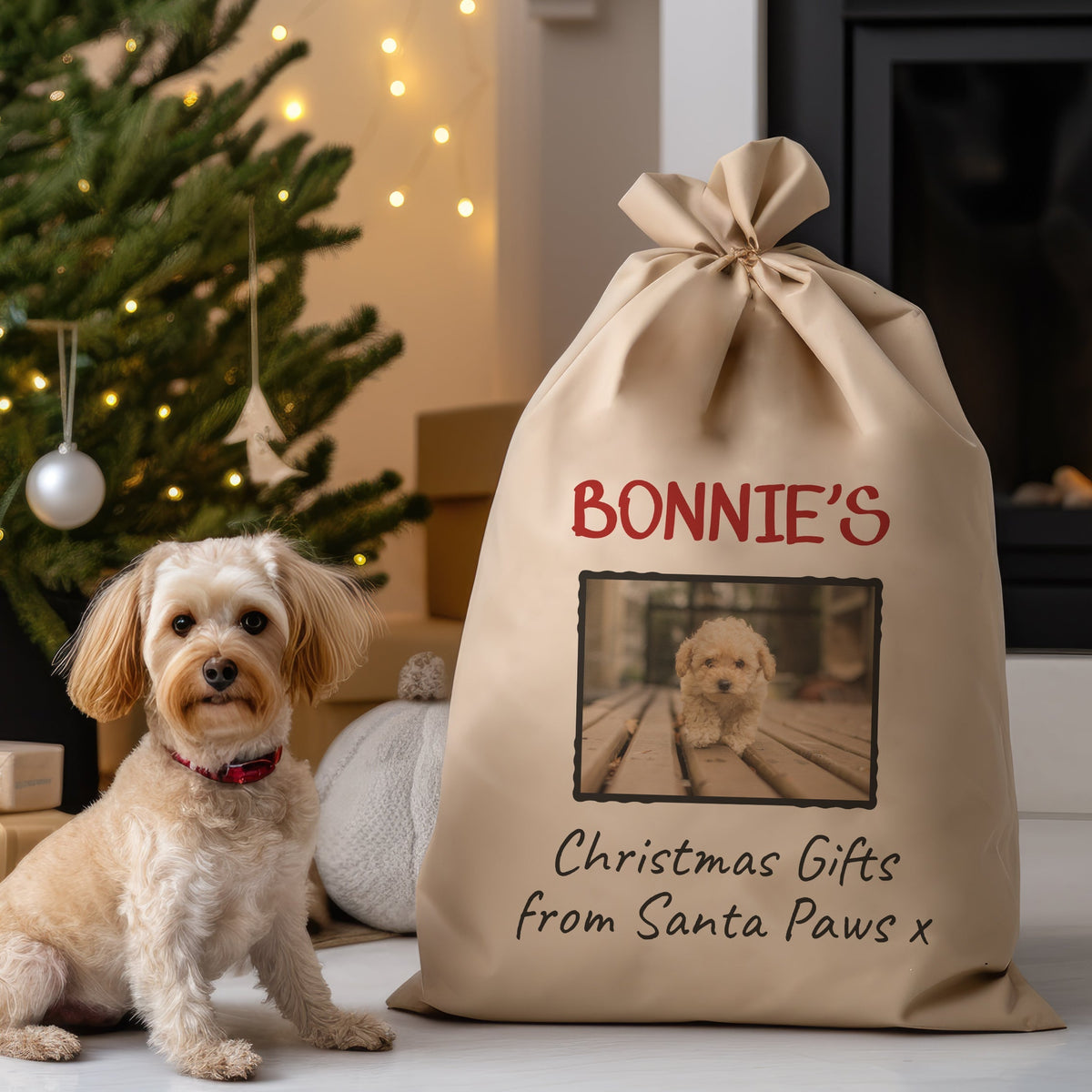 Dog Christmas Santa Sacks