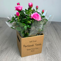 PERSONALISED Miniture Rose Plant with Box - Create Your Own Text Design