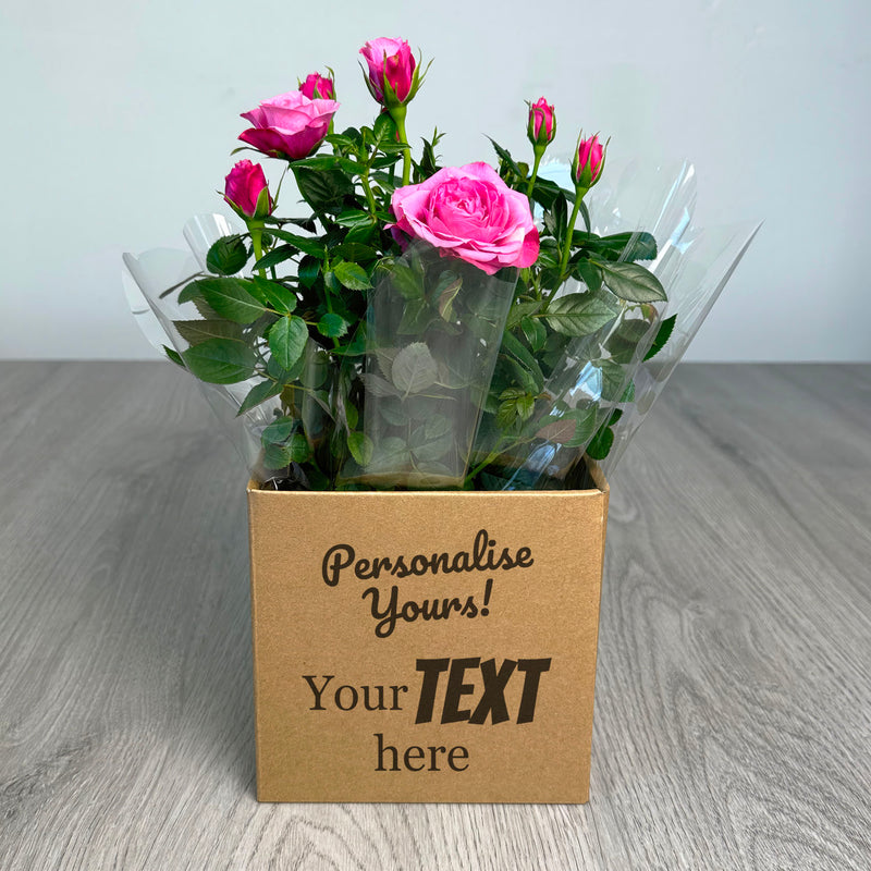 PERSONALISED Miniture Rose Plant with Box - Create Your Own Text Design