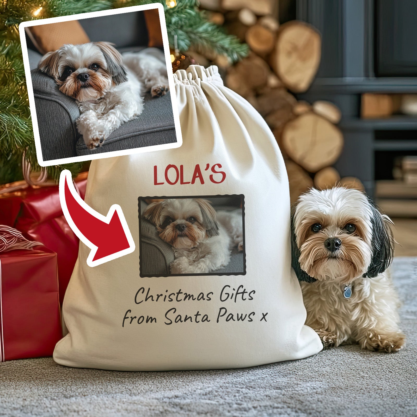 Personalised Photo & Name Christmas Gifts From Santa Paws - Christmas Santa Sack