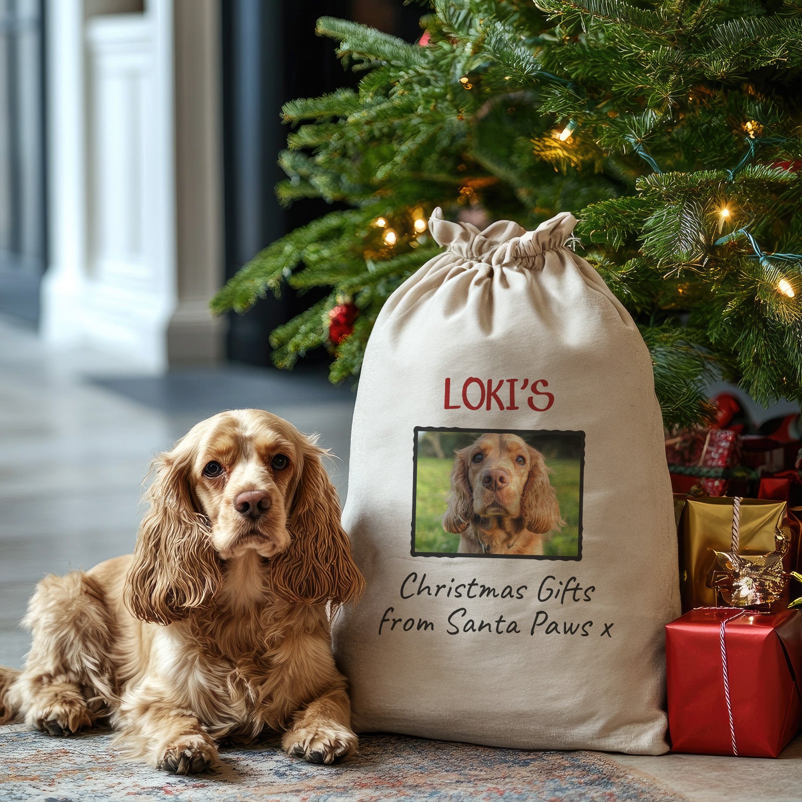 Personalised Photo & Name Christmas Gifts From Santa Paws - Christmas Santa Sack