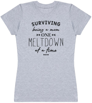 Surviving Meltdown - Womens T - Shirt (6571560960049)
